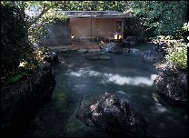 Yagyu no-Sho, Shuzenji Garden