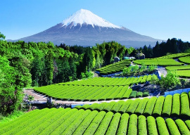 The Land and Sacred Places Japan Tour Itineraries