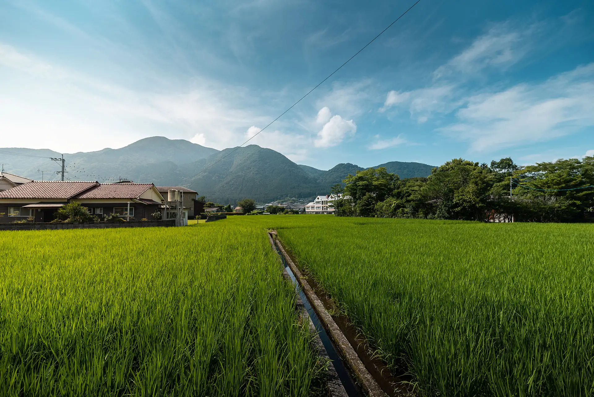 Lush green field with mountain backdrop near small village in Japan