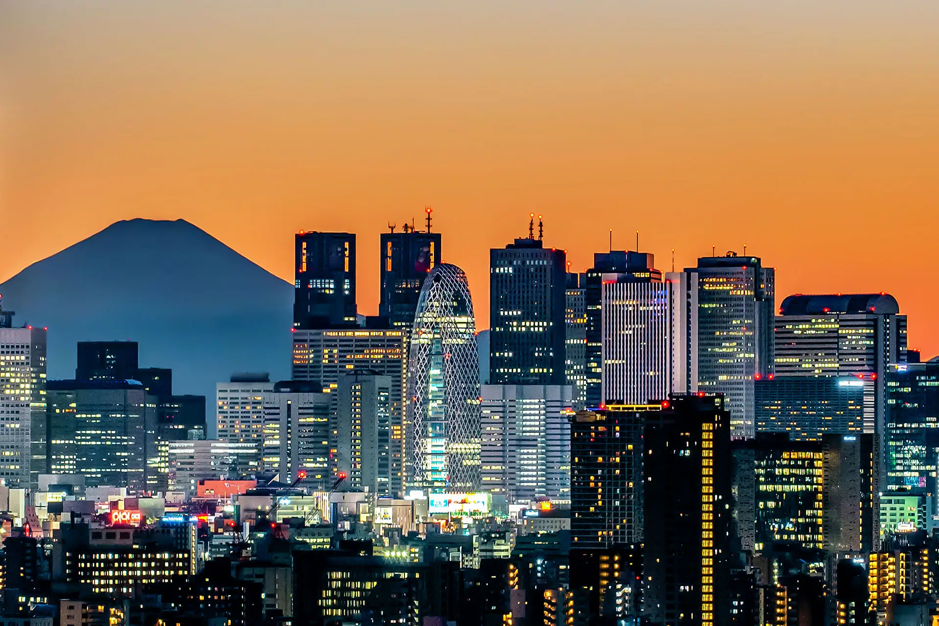 Tokyo Skyline