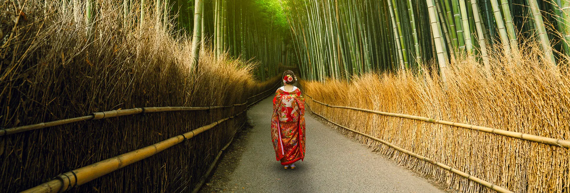 Geisha walking in a field