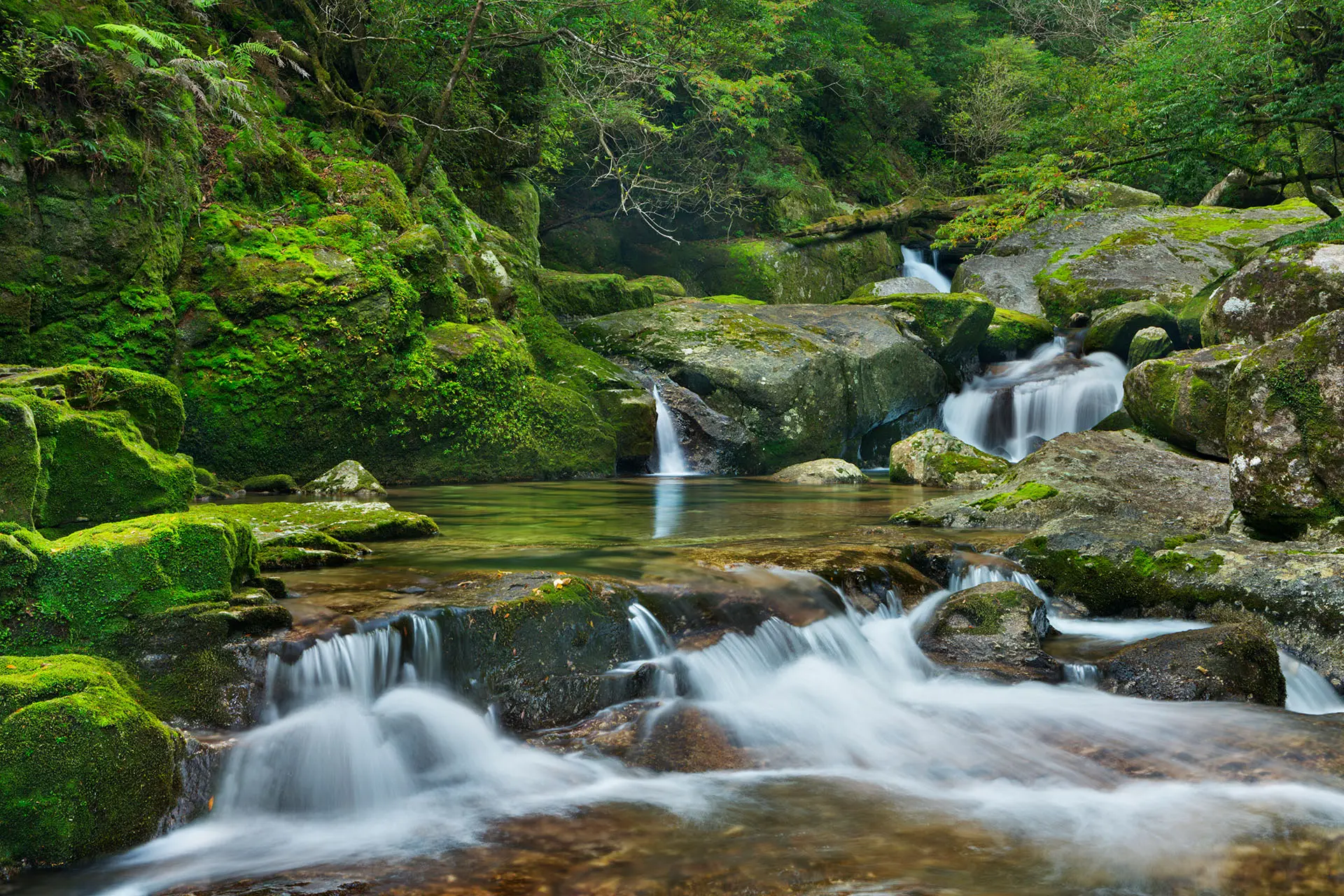 Waterfall in the forest