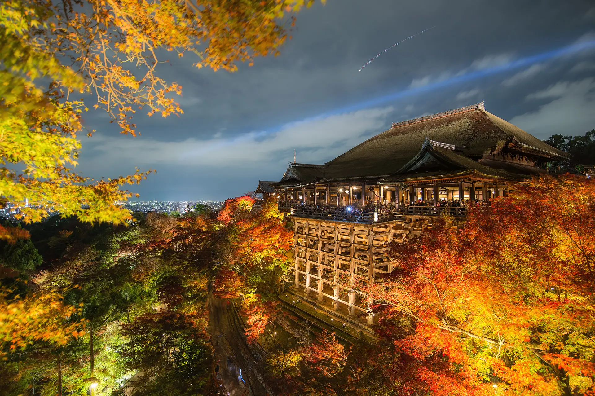 Japanese maple trees in full autumn color near serene Buddhist temples